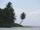 Bilder von Isla Saona